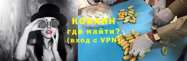 индика Беломорск