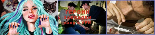 прущие грибы Армянск
