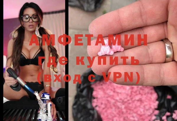 индика Беломорск