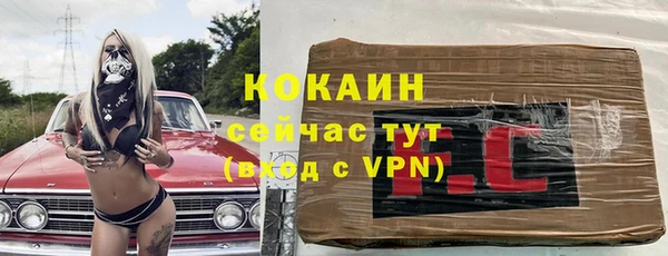 индика Беломорск