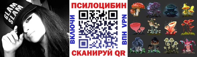 Купить закладки  Усинск  Галлюциногенные грибы Psilocybine cubensis 